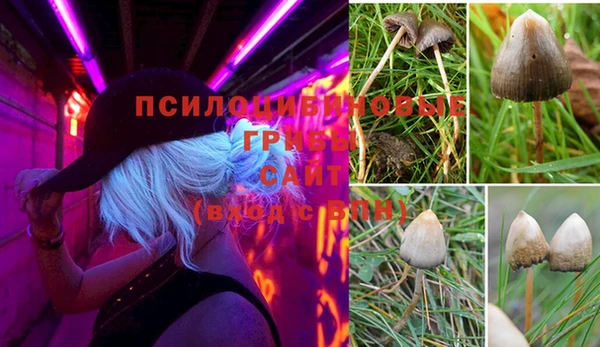 круглые Карпинск