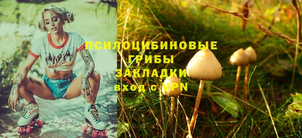 спайс Карталы