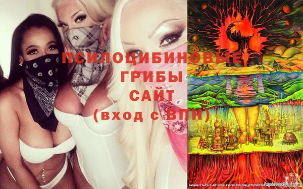 круглые Карпинск
