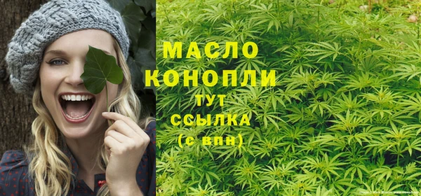 круглые Карпинск