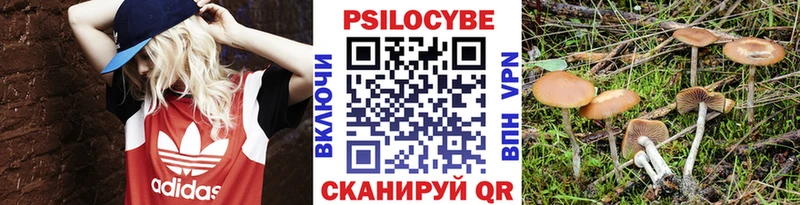 Купить закладки  Бор  Галлюциногенные грибы Magic Shrooms 